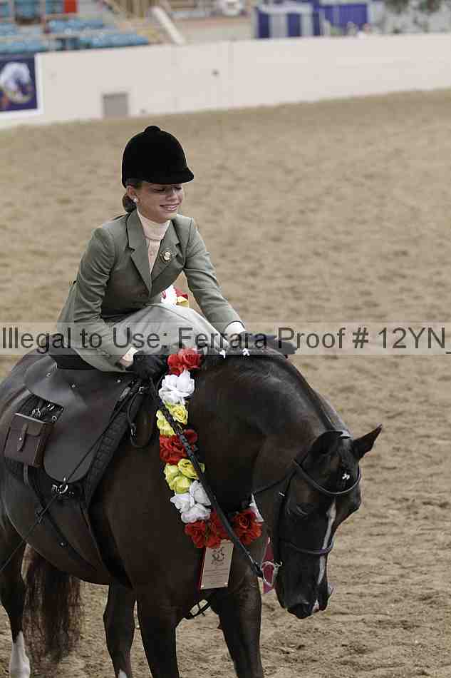 Proof 12yn_06369