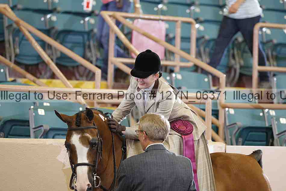 Proof 12yn_06371
