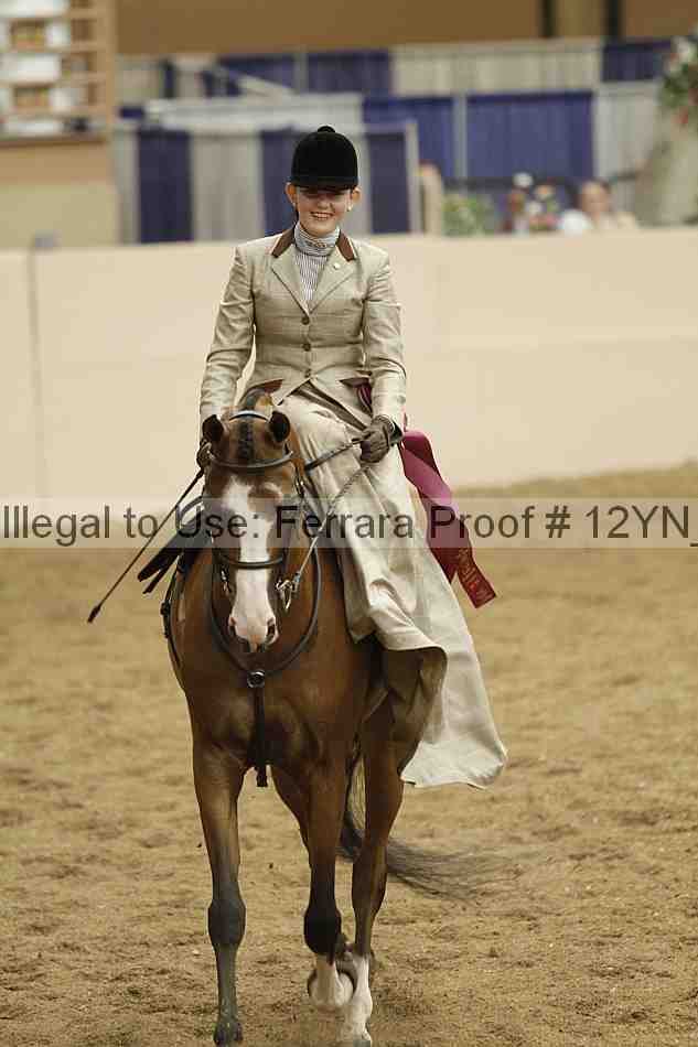 Proof 12yn_06376