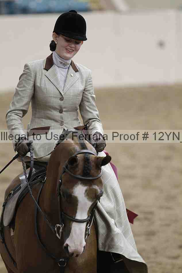 Proof 12yn_06377