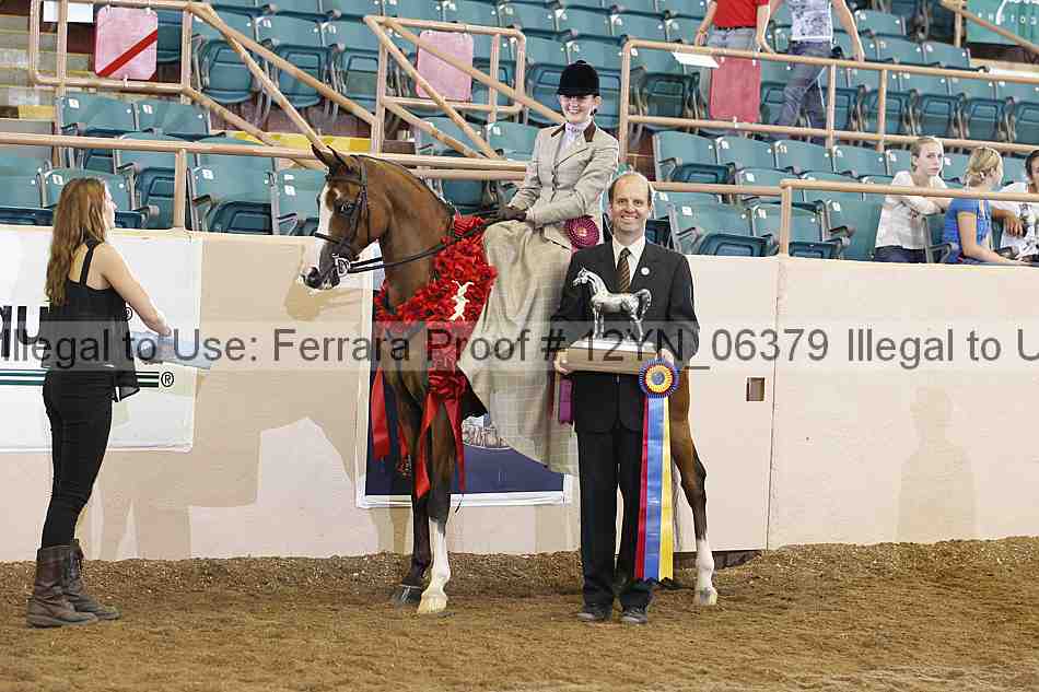 Proof 12yn_06379