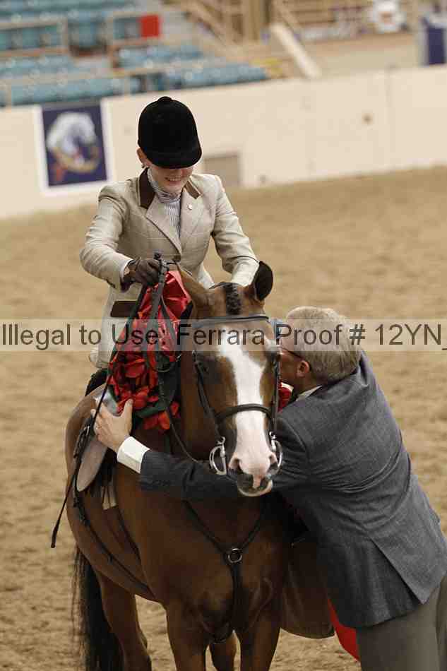 Proof 12yn_06380