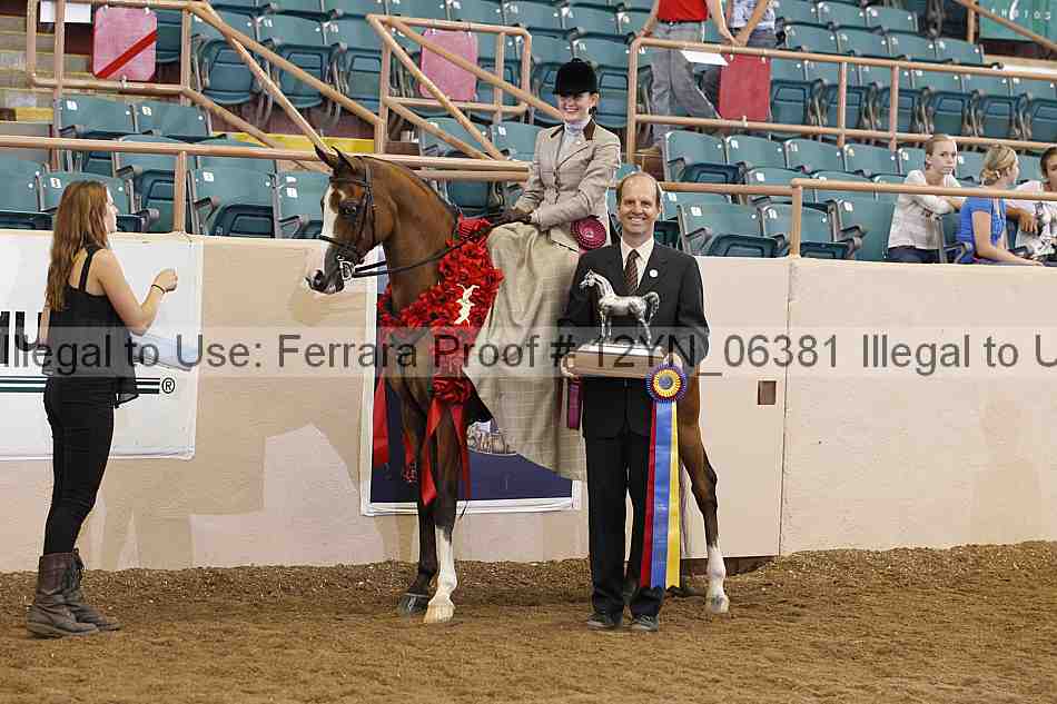 Proof 12yn_06381