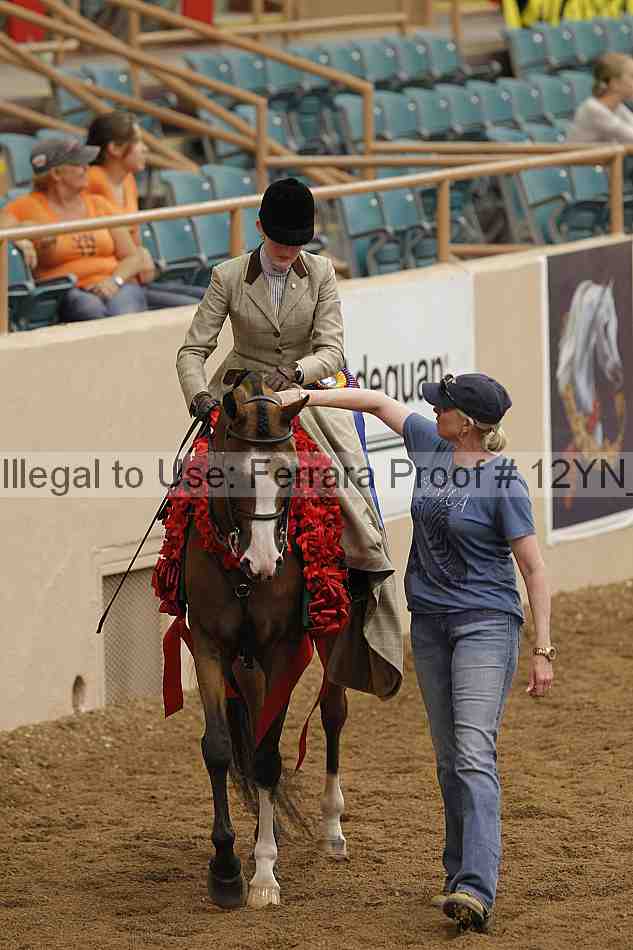 Proof 12yn_06392