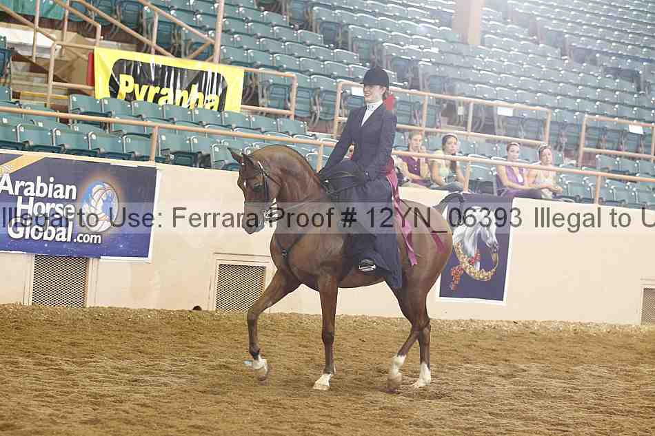 Proof 12yn_06393