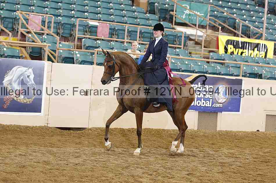 Proof 12yn_06394