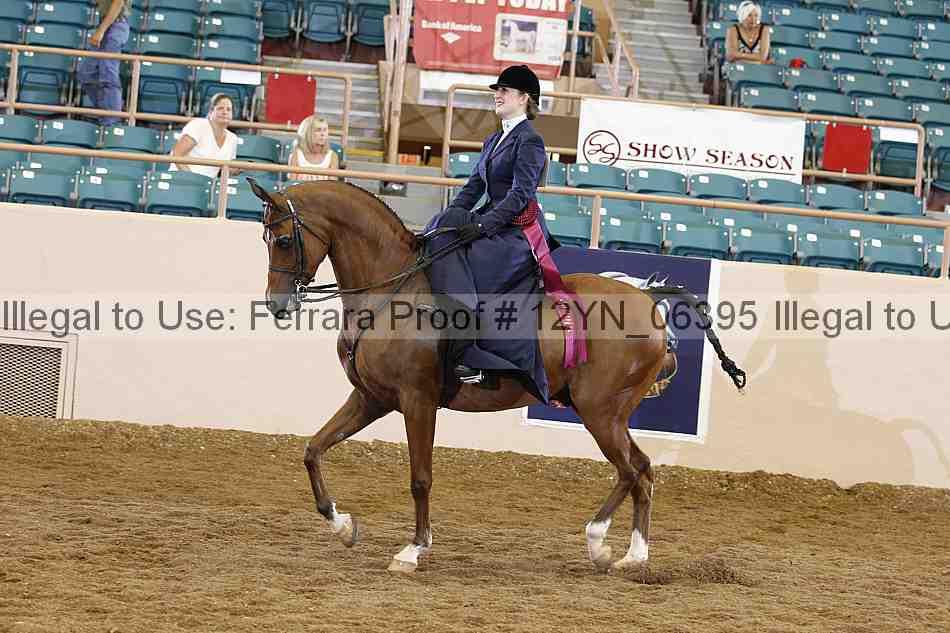 Proof 12yn_06395