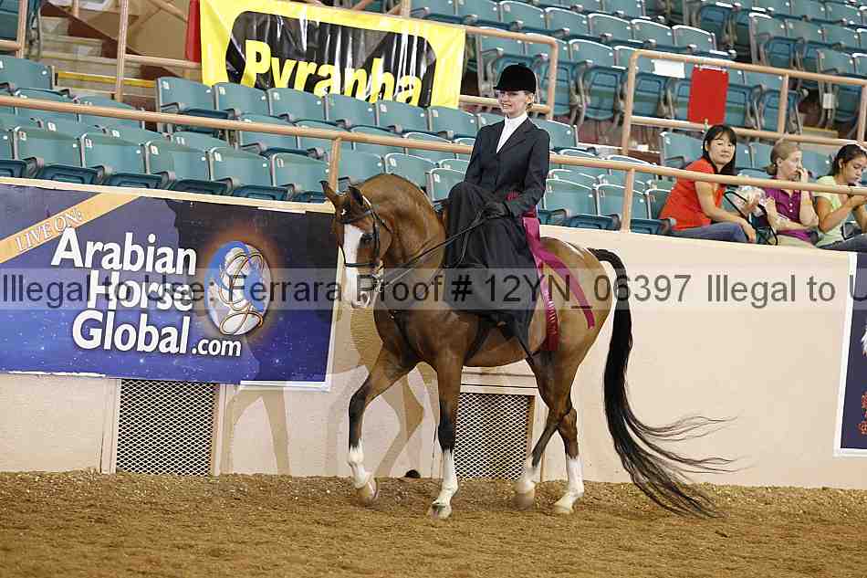 Proof 12yn_06397