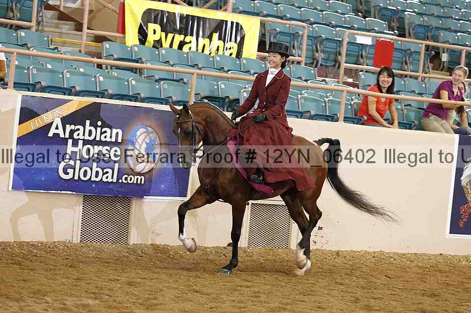 Proof 12yn_06402