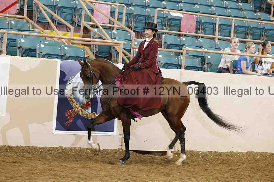 Proof 12yn_06403