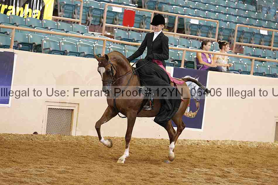 Proof 12yn_06406
