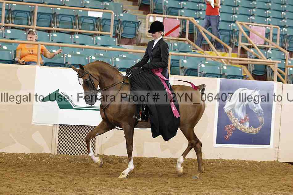 Proof 12yn_06407