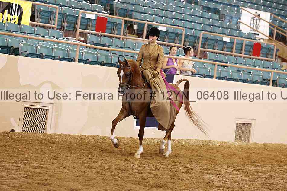 Proof 12yn_06408