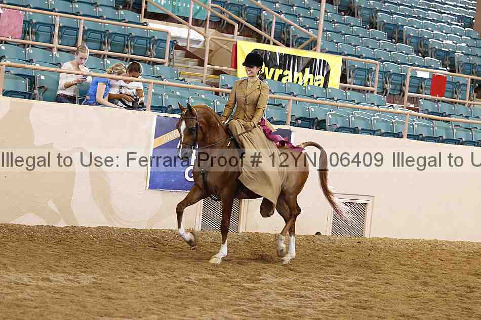 Proof 12yn_06409