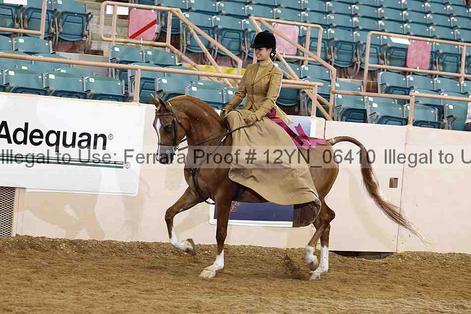Proof 12yn_06410