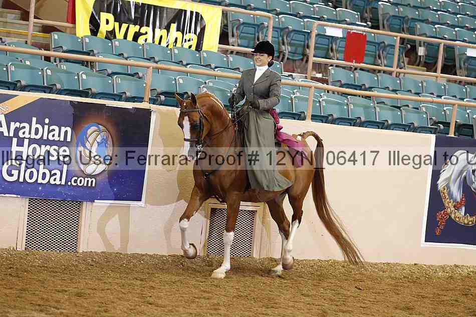 Proof 12yn_06417