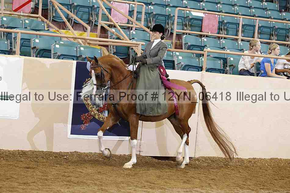 Proof 12yn_06418