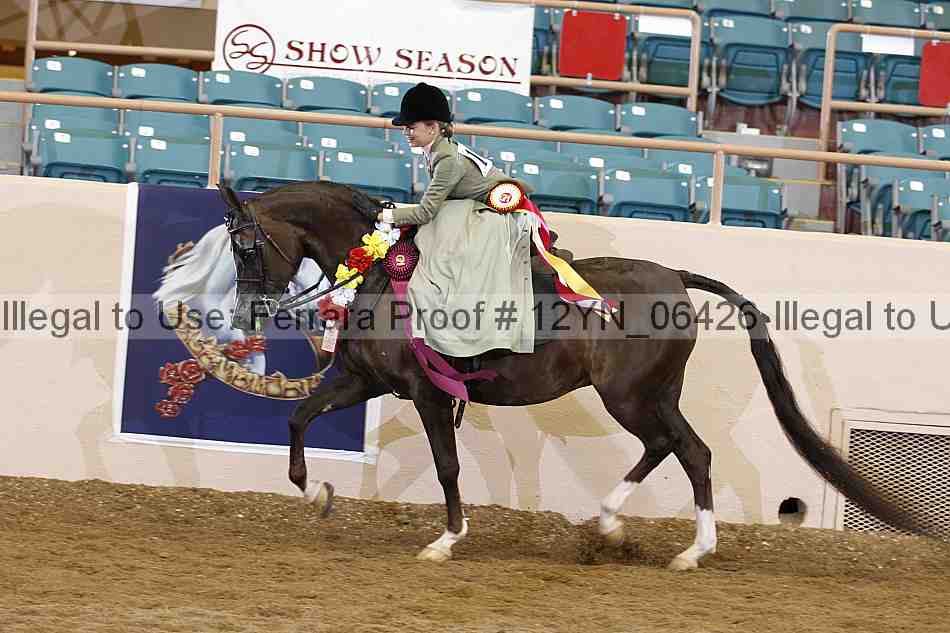 Proof 12yn_06426