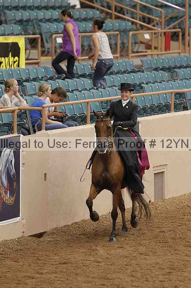 Proof 12yn_06432
