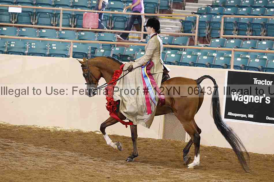 Proof 12yn_06437