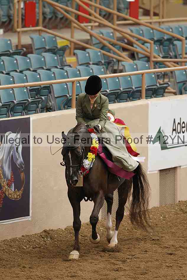 Proof 12yn_06439