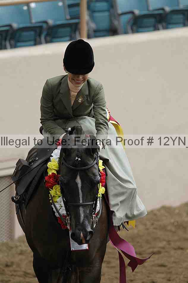 Proof 12yn_06444