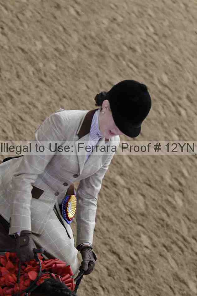 Proof 12yn_06449