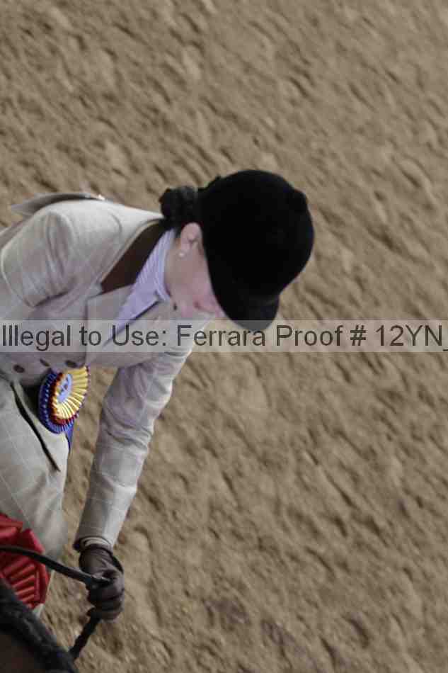 Proof 12yn_06451