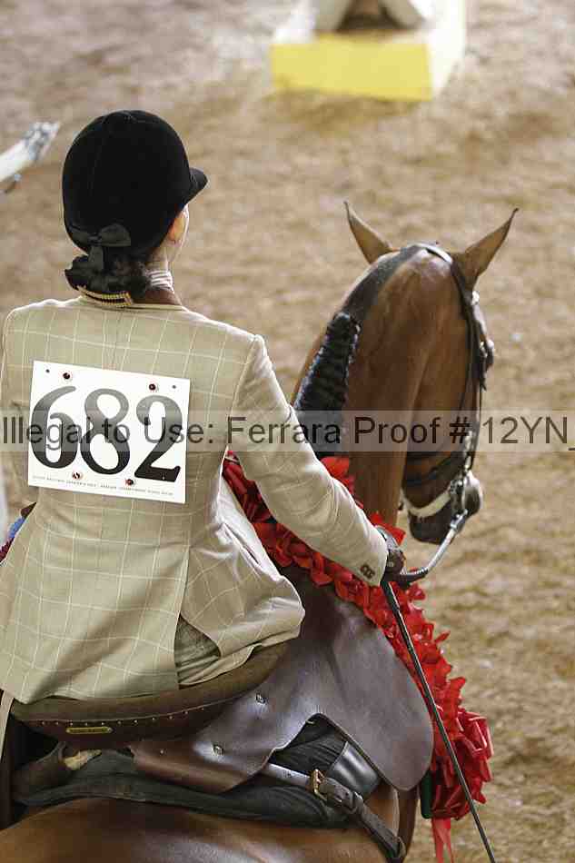 Proof 12yn_06453