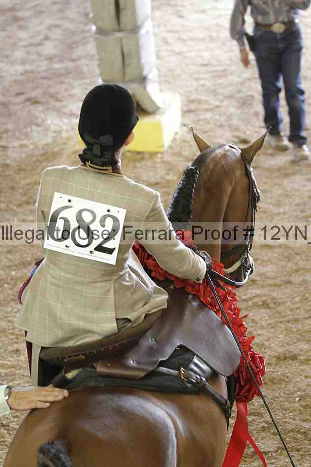 Proof 12yn_06454