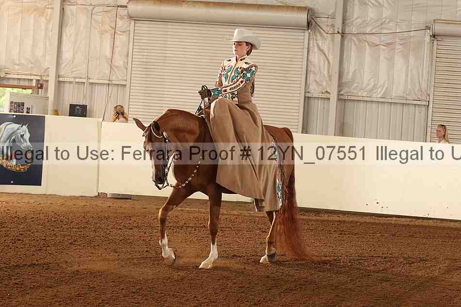 Proof 12yn_07551