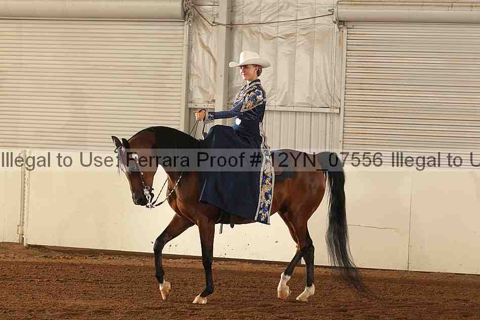 Proof 12yn_07556