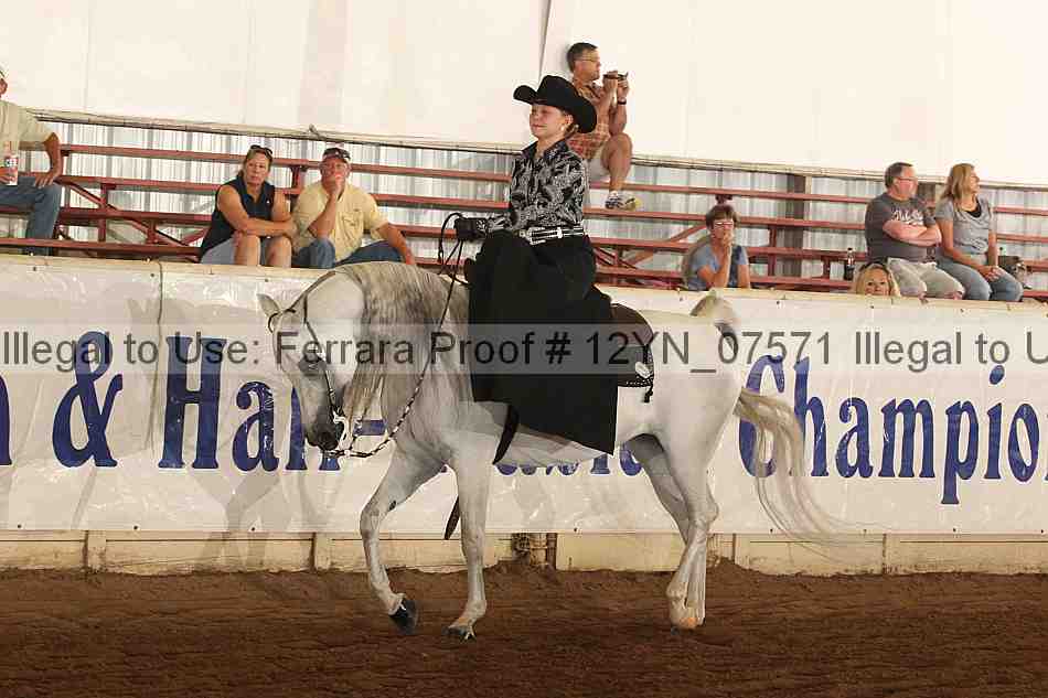 Proof 12yn_07571