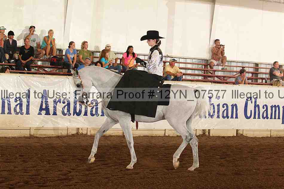 Proof 12yn_07577