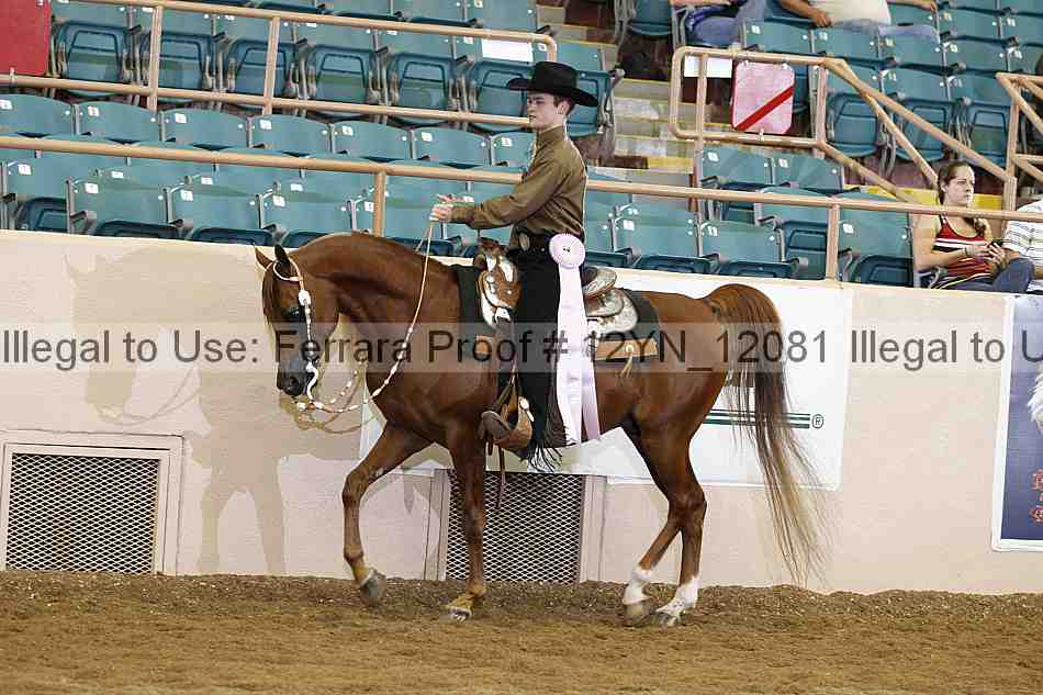 Proof 12yn_12081
