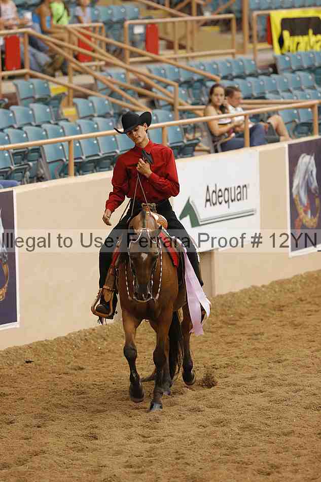 Proof 12yn_12084