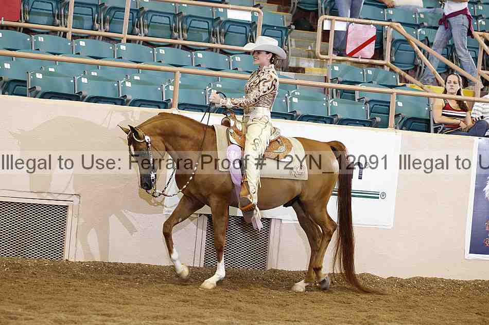 Proof 12yn_12091