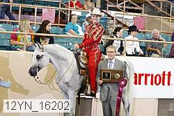 12yn_16202 proof