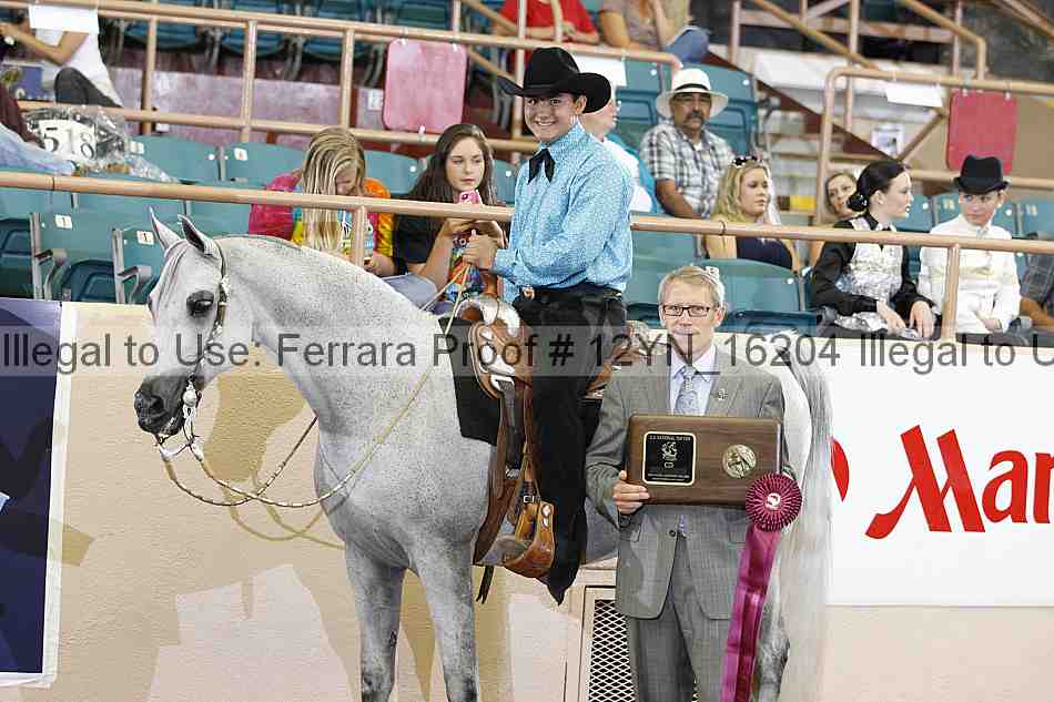 Proof 12yn_16204
