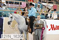12yn_16204 proof