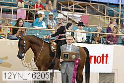 12yn_16205 proof