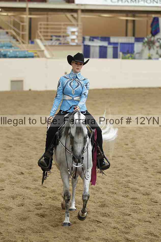 Proof 12yn_16210