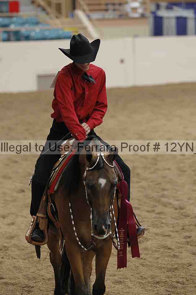Proof 12yn_16227