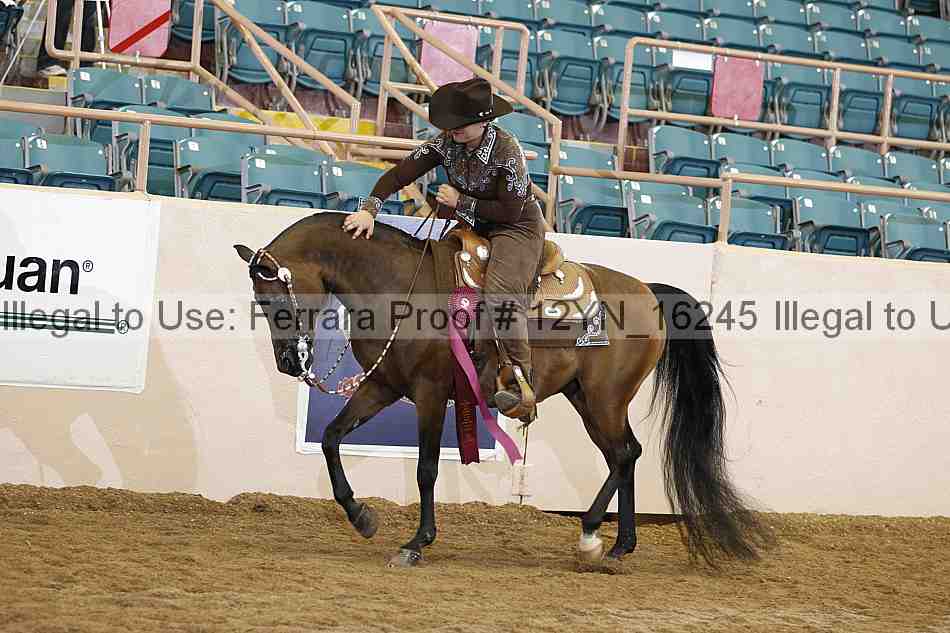 Proof 12yn_16245