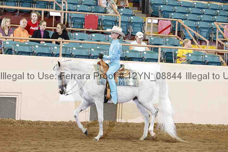 Proof 12yn_08844