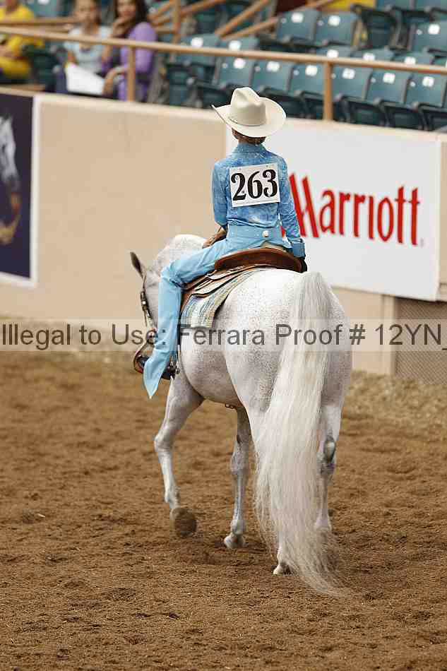 Proof 12yn_08845