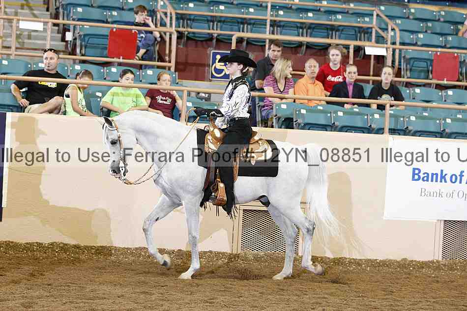 Proof 12yn_08851