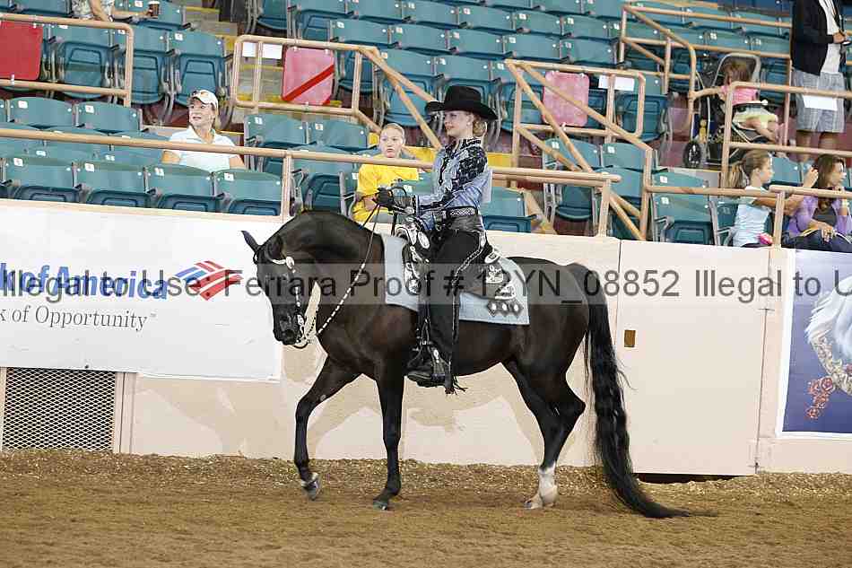 Proof 12yn_08852