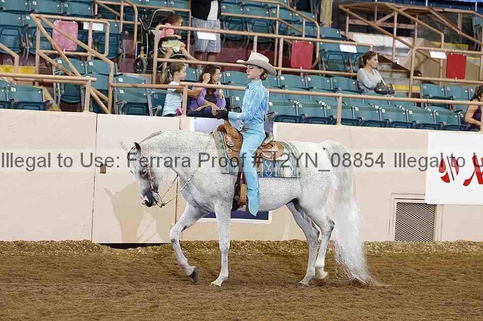 Proof 12yn_08854