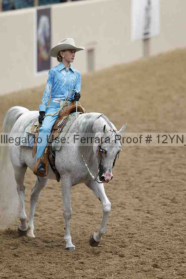 Proof 12yn_08857